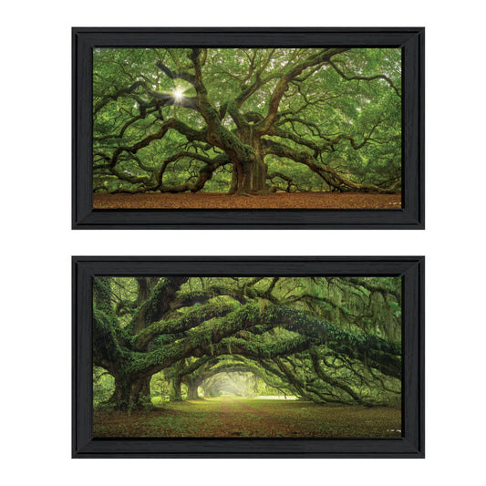 "Tree Levy, Moises Black Vignette Frame 2-Piece by Arbors"