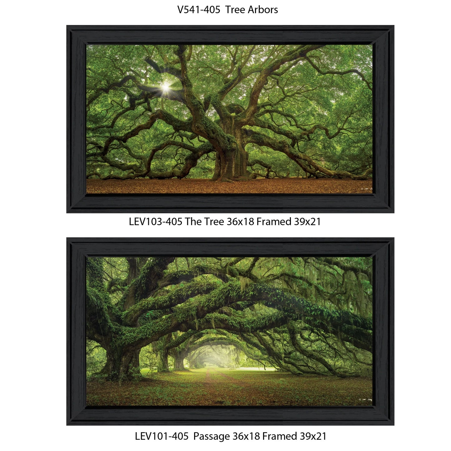 "Tree Levy, Moises Black Vignette Frame 2-Piece by Arbors"